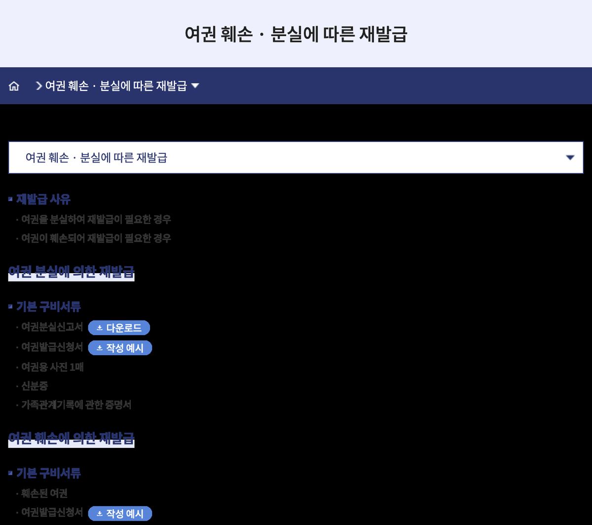 외교부 여권안내 여권 훼손·분실에 따른 재발급 구비서류 안내 화면
