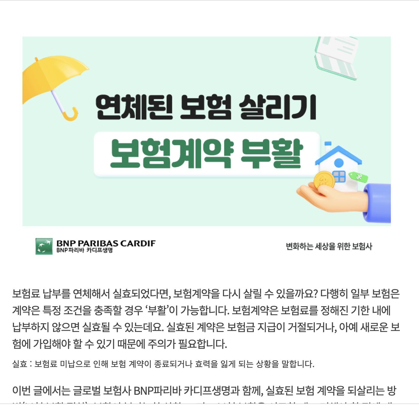 보험계약 실효 후 부활 신청 조건과 절차 안내 화면