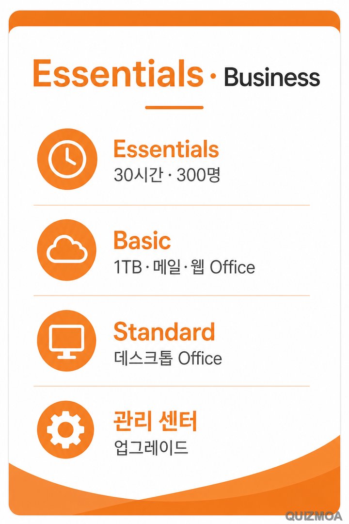 Essentials Business Basic Standard 업그레이드 차이