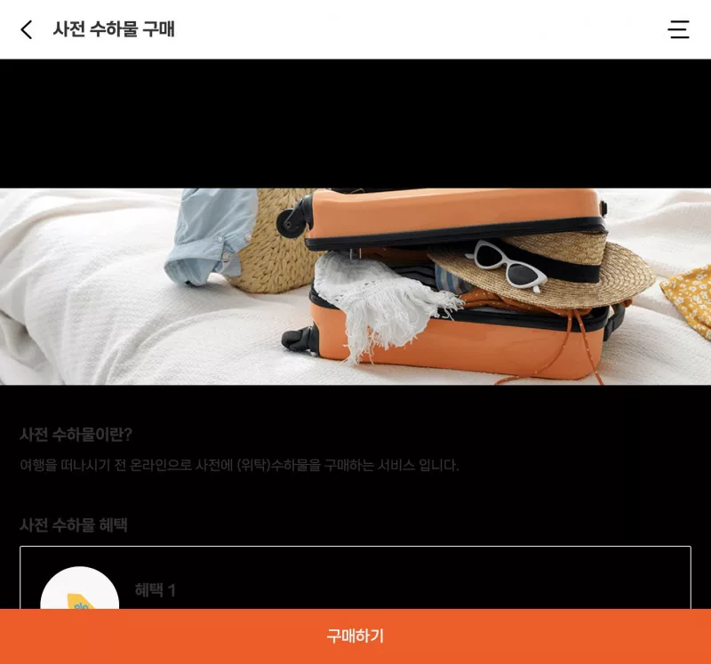 제주항공 사전 수하물 구매 혜택 안내 화면