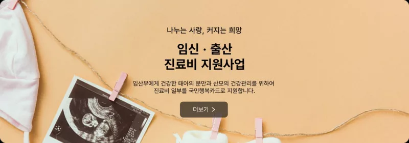 임신출산 진료비 지원사업 국민행복카드로 진료비 일부 지원 사회서비스 전자바우처