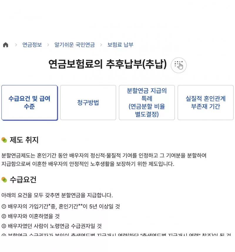 국민연금 분할연금 수급요건과 급여수준 안내 화면