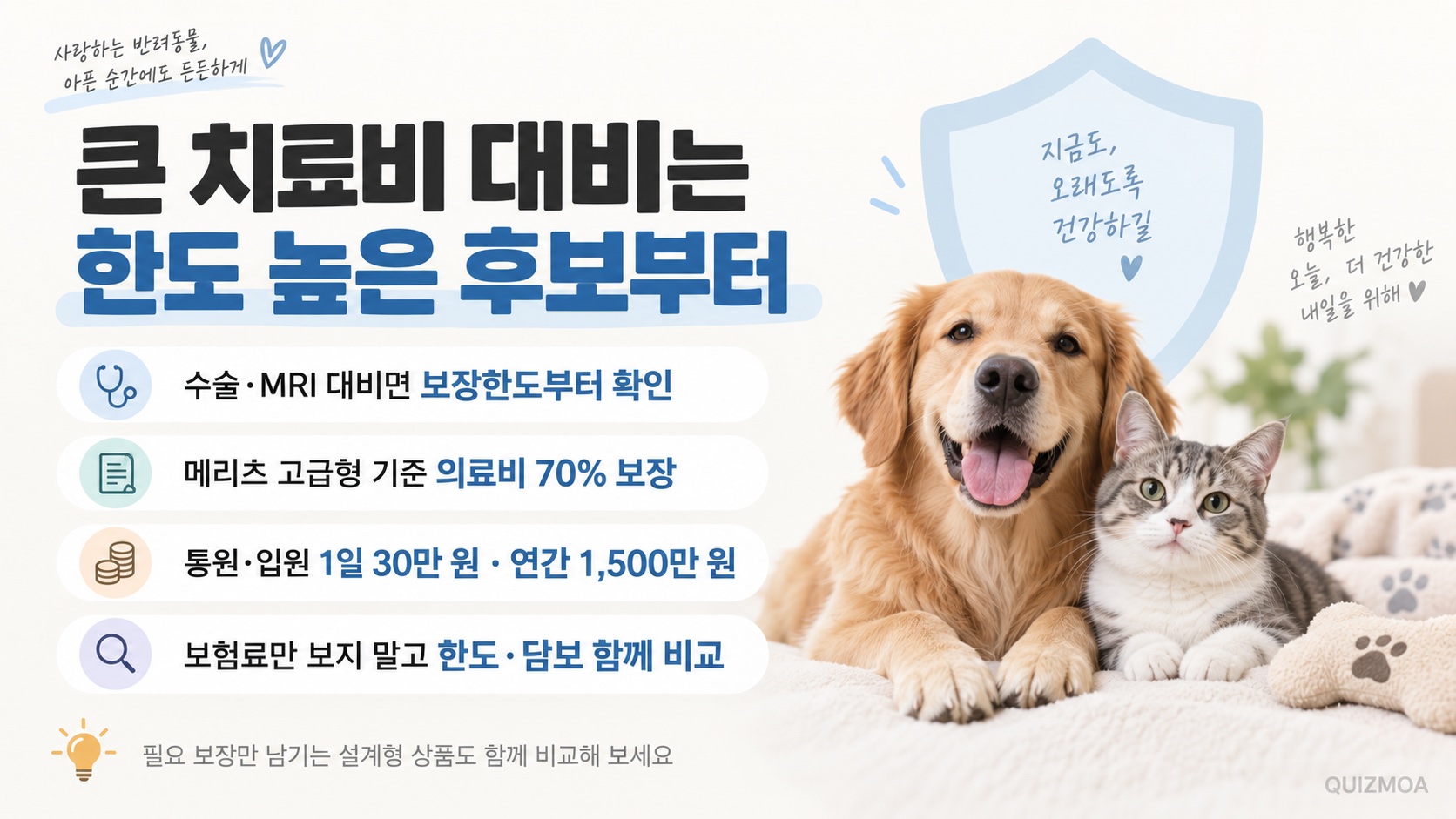 펫보험 추천