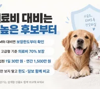 펫보험 추천