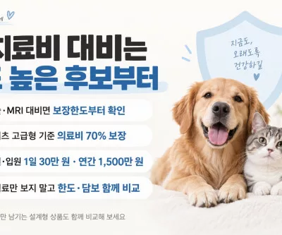 펫보험 추천