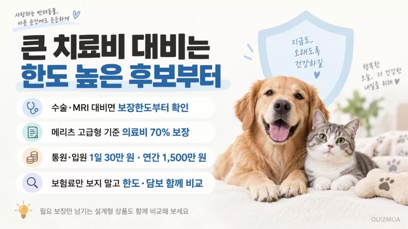 펫보험 추천