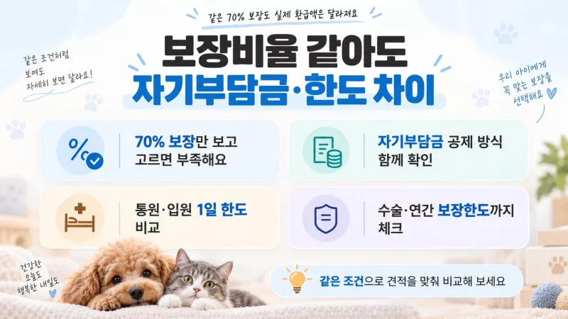 펫보험 추천 차이